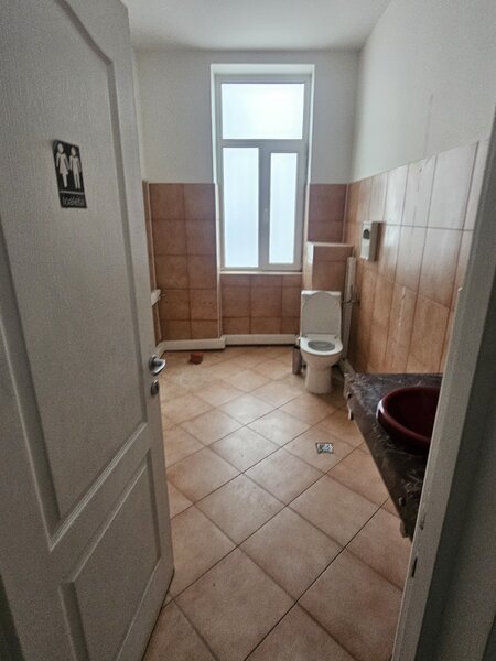 Matei Basarab, Udriste